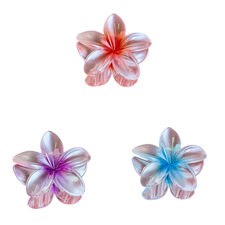 Almeria- Claw Hair Clip