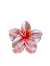 Almeria- Claw Hair Clip