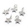Star Charm- Assorted
